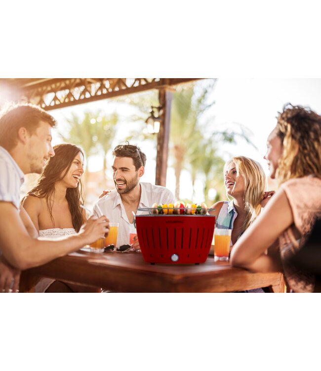 Tafelbarbecue Classic hybrid 350 mm roestvrijstaal - LotusGrill