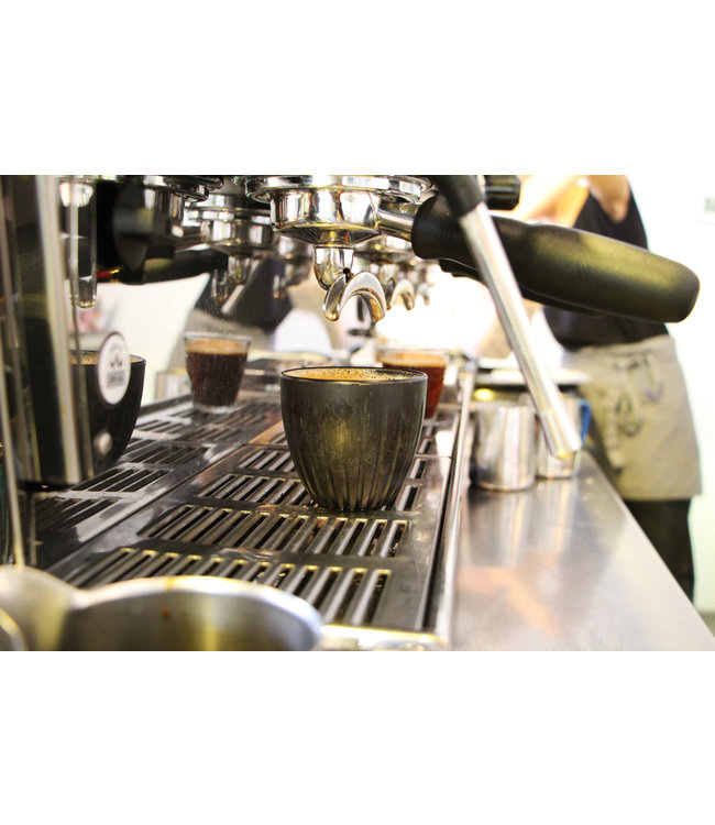 Cappuchinokop 34 cl met deksel circulair - gemaakt van  koffiedrab | prijs & verp per 24 stuks