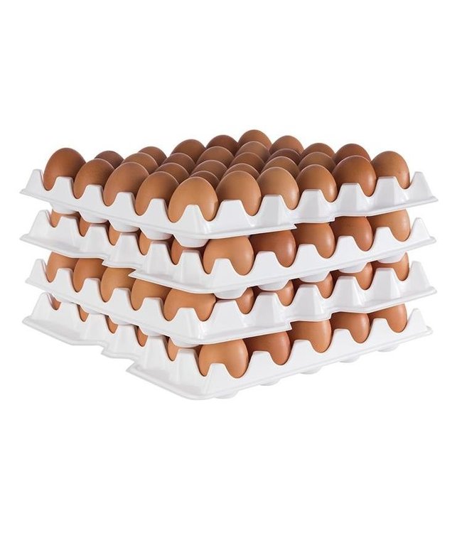 Eiertray tbv 30 eieren set à 10 stuks - APS