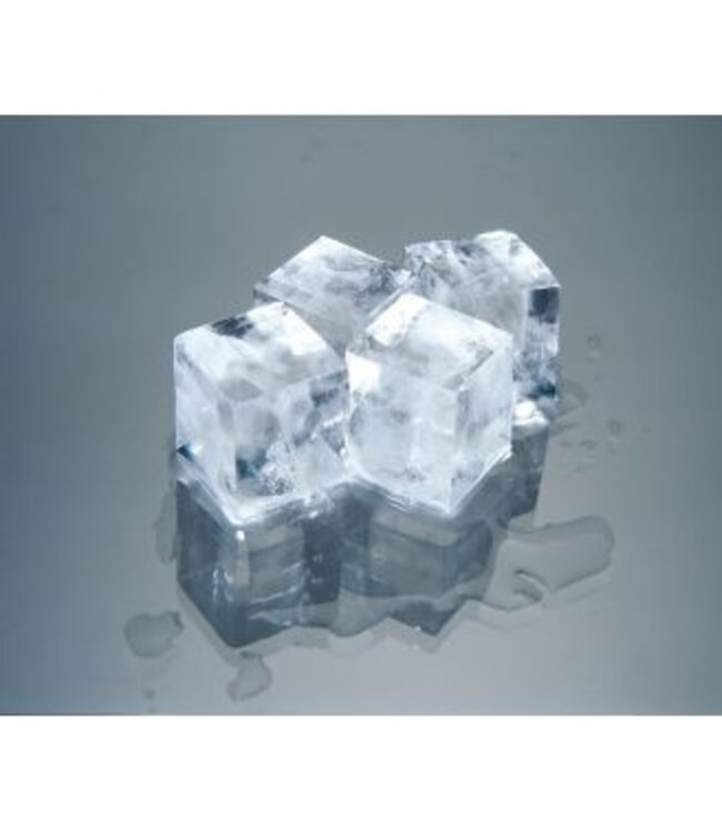 IJsblokjesmachine 25 kg/24u 11,5 kg bunker luchtgekoeld 398x451x695 mm (bxdxh) IM-21CNE-HC - Hoshizaki