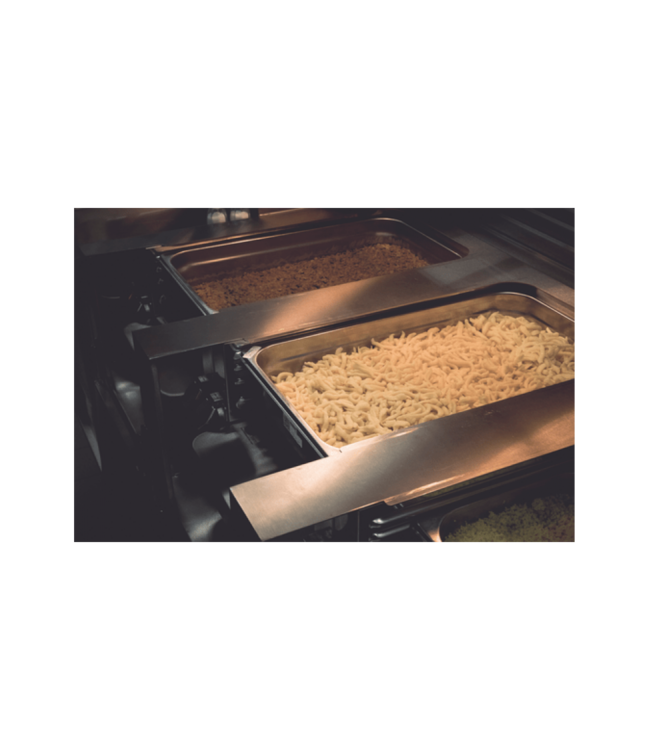 Gastronormbak rvs 2/1-20 mm diep zonder greep - Rieber