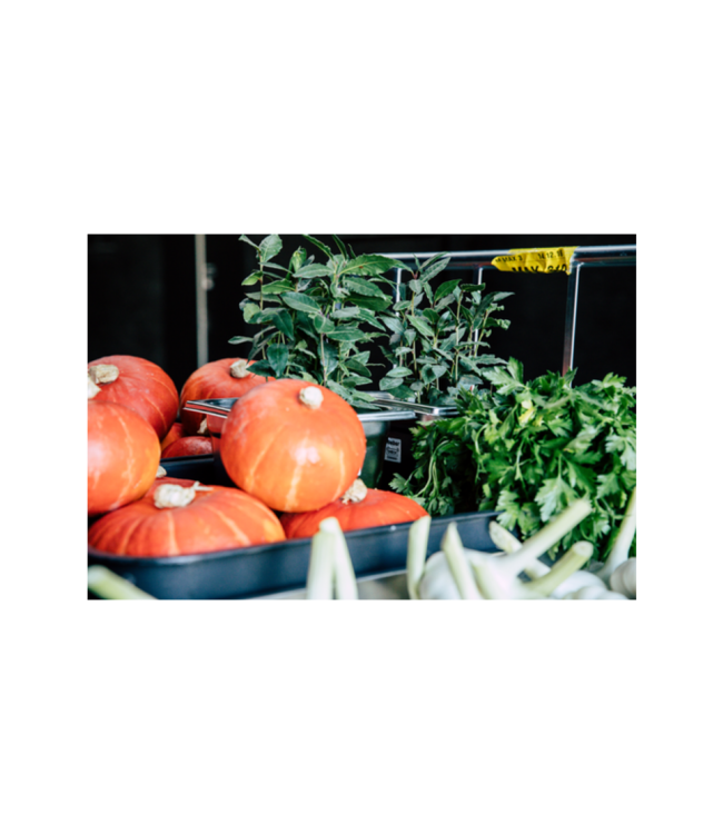 Gastronormbak rvs 1/2-100 mm diep zonder greep - Rieber