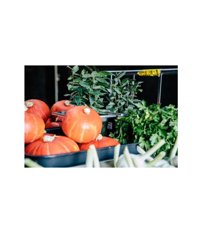 Gastronormbak rvs 1/2-65 mm diep zonder greep - Rieber