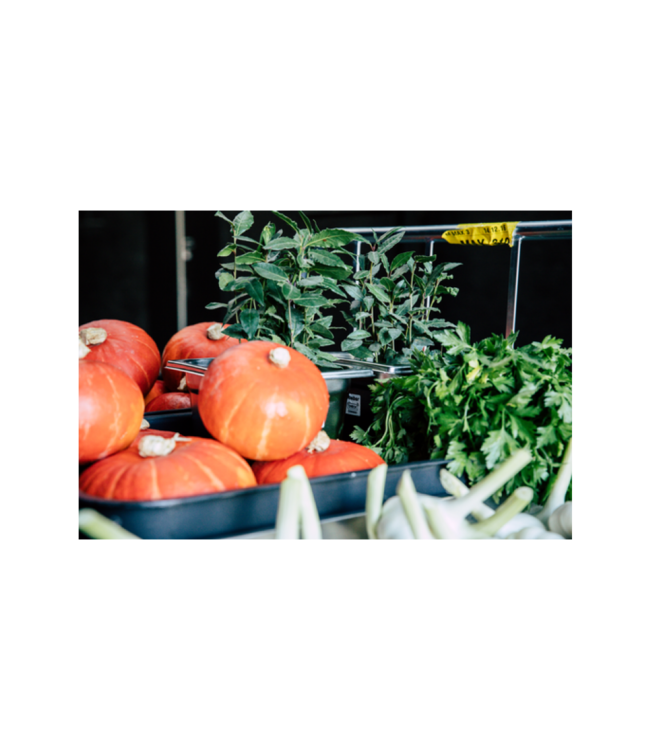 Gastronormbak rvs 1/2-55 mm diep zonder greep - Rieber