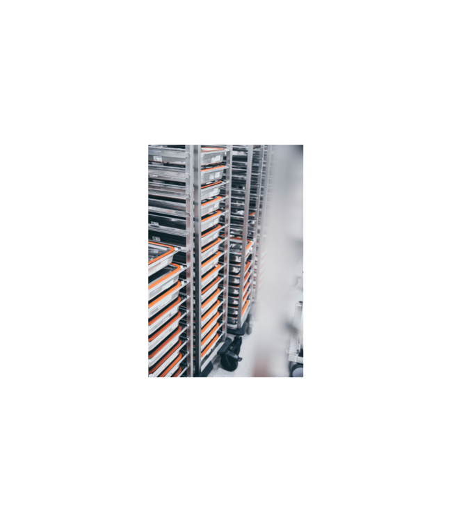 Gastronormbak rvs 2/8-65 mm diep zonder greep - Rieber