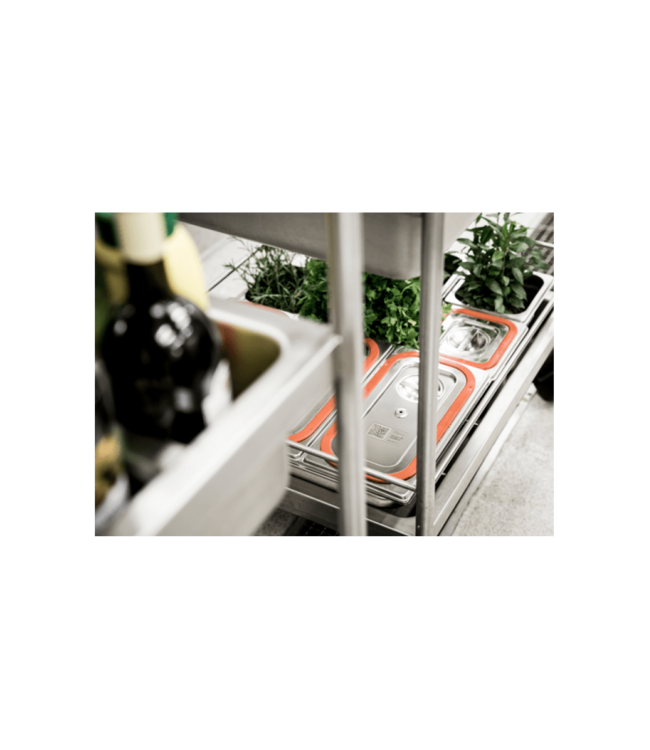 Gastronormbak rvs 2/4-20 mm diep zonder greep - Rieber