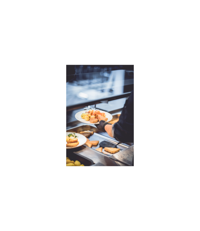 Gastronormbak rvs 1/1-54 mm diep geperforeerd zonder greep - Rieber