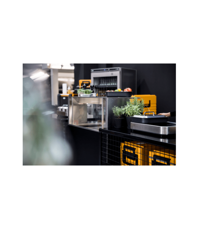 Thermoport 100K geisoleerde transportbox  oranje - Rieber