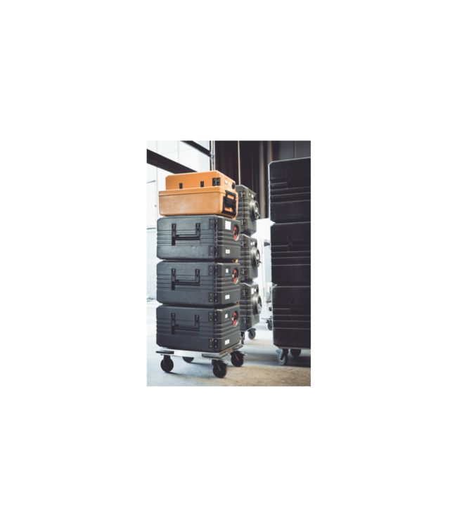 Thermoport 1000K verwarmd geisoleerde transportbox zwart - Rieber