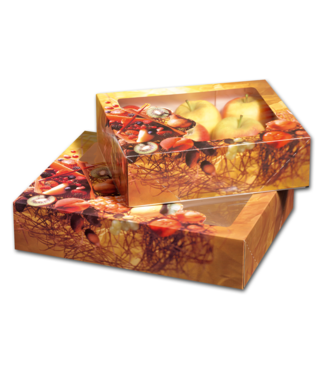 Cateringdoos karton/PLA 330 x 260 x 75 mm "Fruit" met venster | prijs & verp per 50 stuks