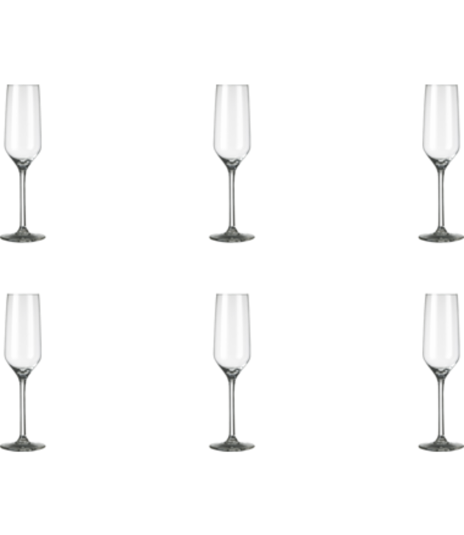 Champagneflute 22 cl Carre - Royal Leerdam | prijs & verp per 6 stuks