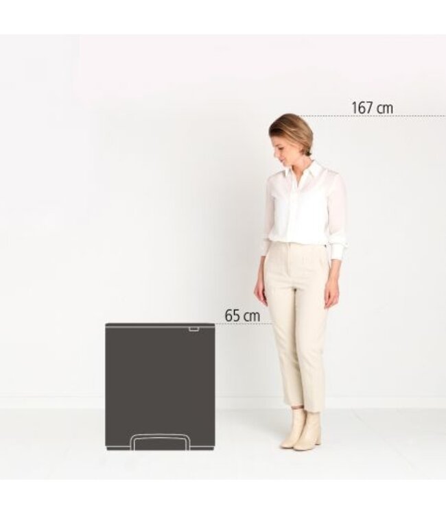 Pedaalemmer Bo 2 x 30 ltr matt black - Brabantia