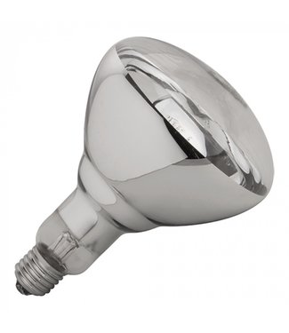 Warmtelamp 250W wit - infrarood lamp