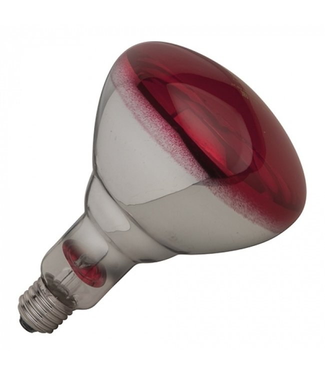 Warmtelamp 250W rood - infrarood lamp