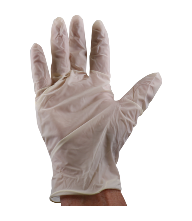 Handschoen disp Latex gepoederd XL wit |prijs & verp per 100 stuks