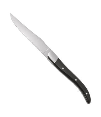 Sans Marque Steakmes 230 mm - Roestvrijstaal