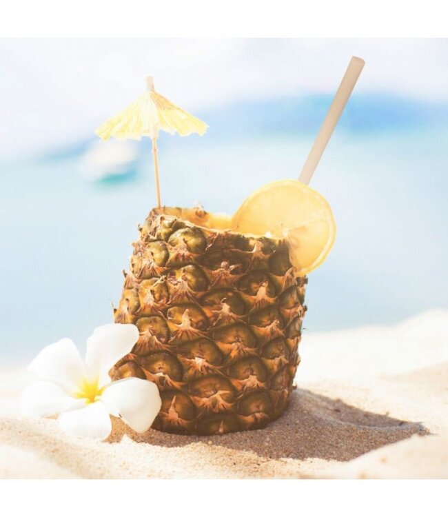 Rietje disp bamboe 230 x Ø8 mm zwart | prijs & verp per 4.000 stuks