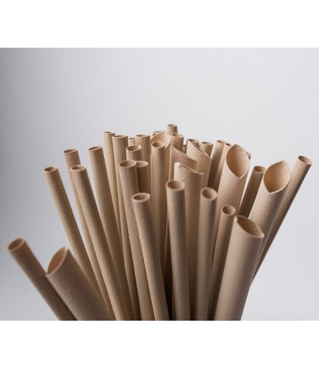 Rietje disp bamboe 230 x Ø6 mm bruin | prijs & verp per 5.000 stuks