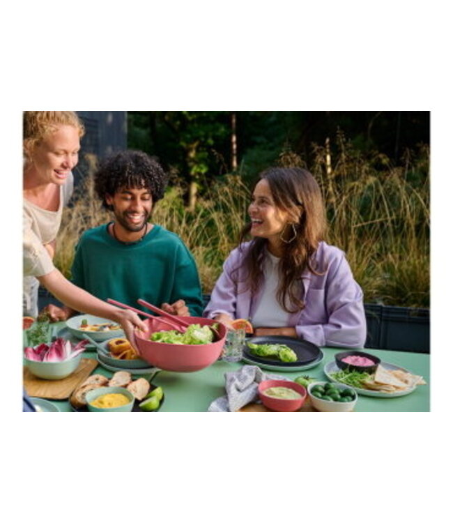 Bord 260 mm Silueta Nordic Sage - Mepal | prijs & verp per 4 stuks