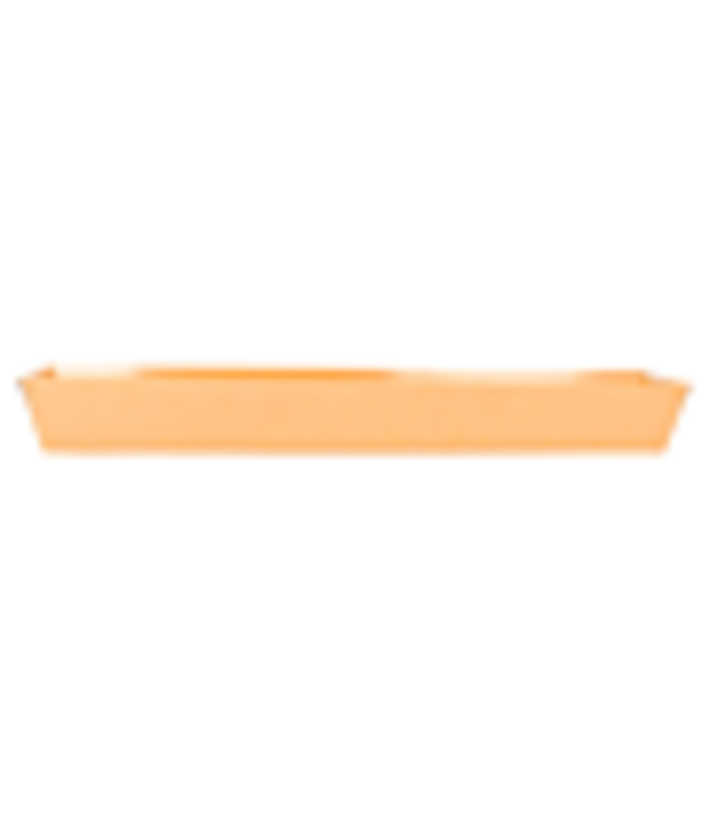 Bakje disp karton/PE 300 x 65 x 35 mm bruin | prijs & verp per 50 stuks