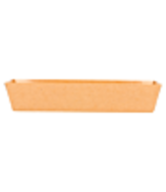 Bakje disp karton/PE 180x55x35 mm bruin | prijs & verp per 50 stuks