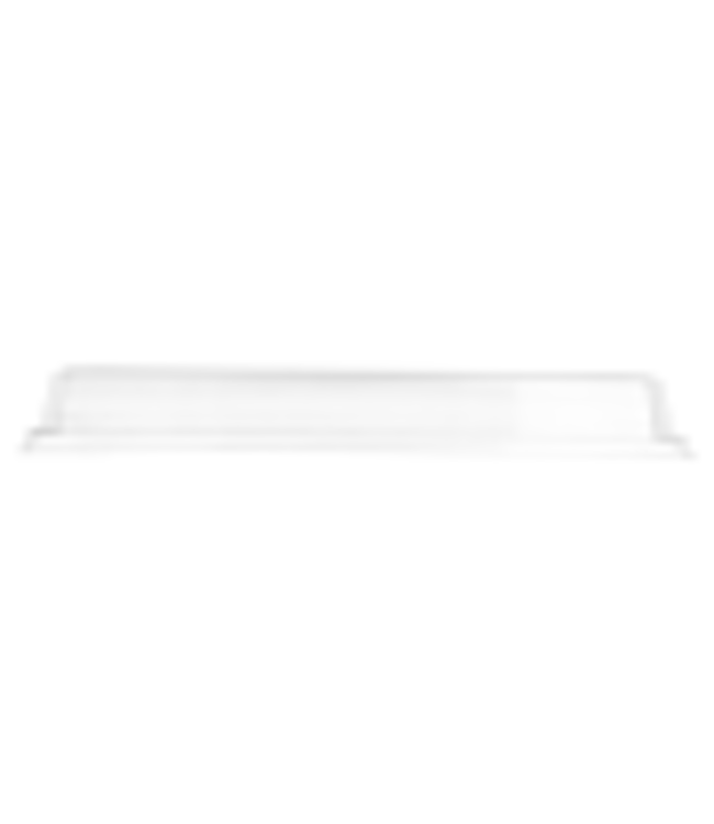 Deksel voor bakje disp karton/PE 300 x 65 mm transparant | prijs & verp per 50 stuks
