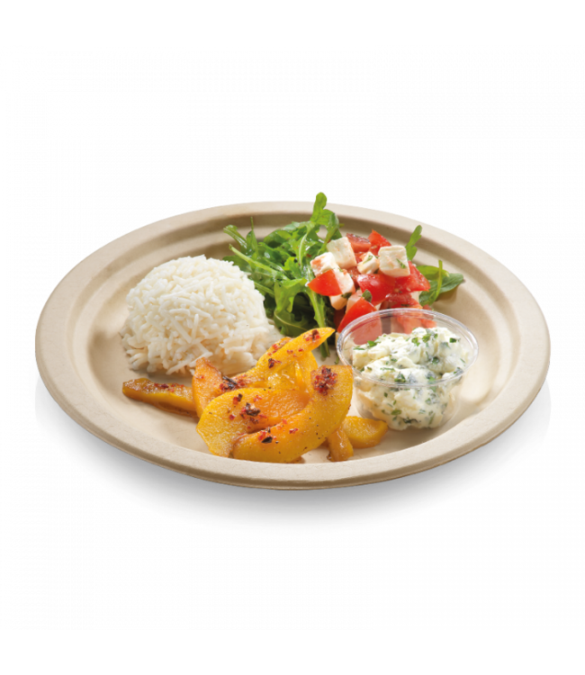 Bord disp suikerriet 26 cm Ø bruin | prijs & verp per 500 stuks