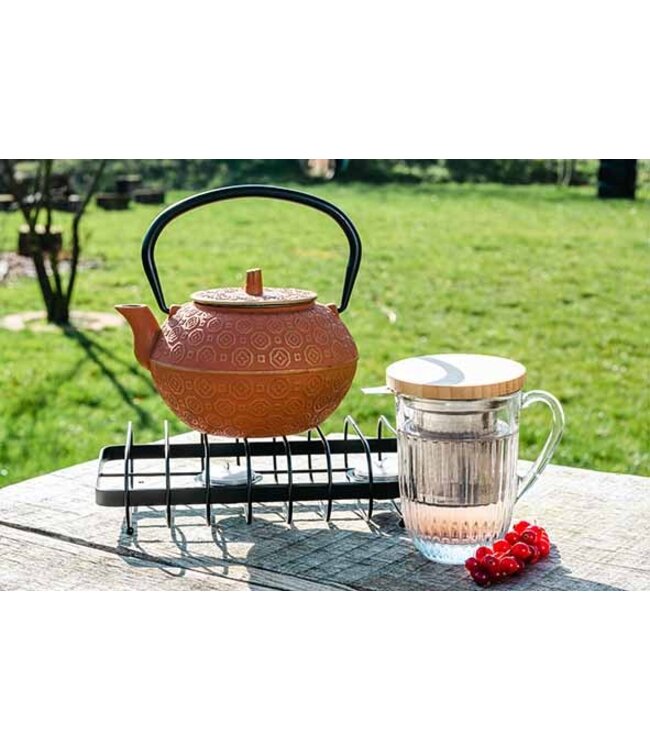 Theeglas 36 cl Ø80x(h)110 mm met filter & deksel Quessant - La Rochere