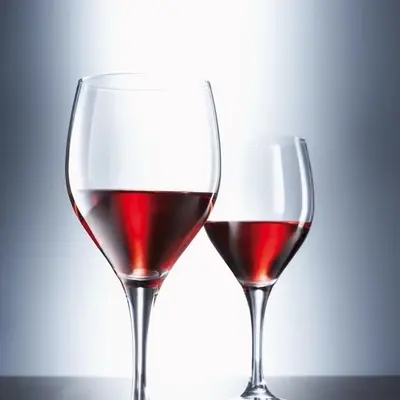 Schott Zwiesel - Mondial