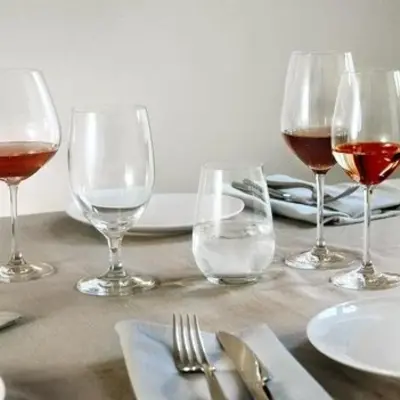 Schott Zwiesel - Vina