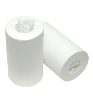 Poetsrol MINI 120Mx20 cm coreless 1-laags cellulose | prijs & verp per 12 rol