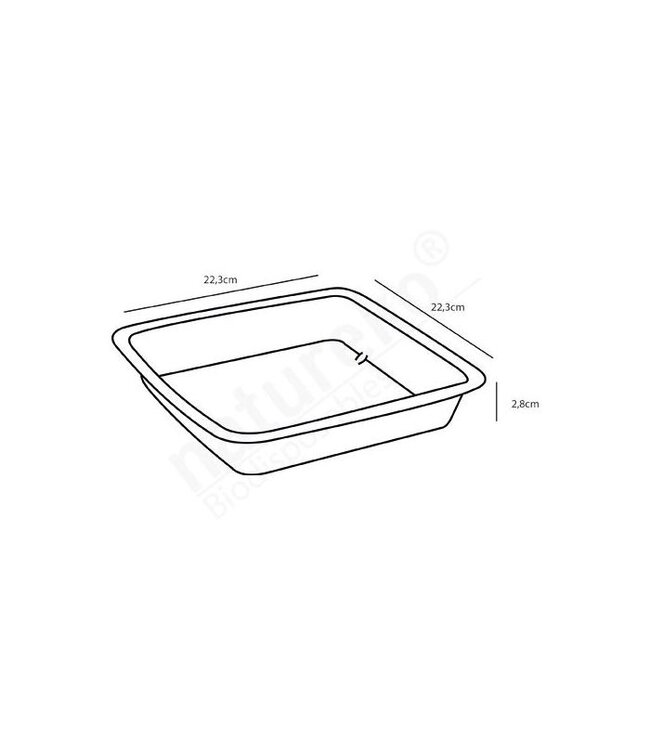 Menubakje 223x223x28 mm suikerriet 100 cl | prijs & verp per 75 stuks