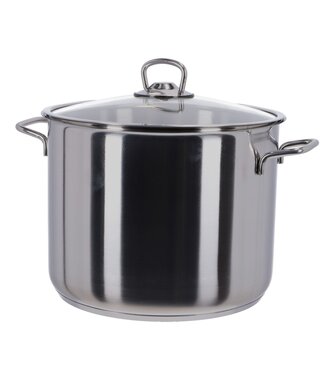Kookpan 24 cm rvs 9 ltr met deksel