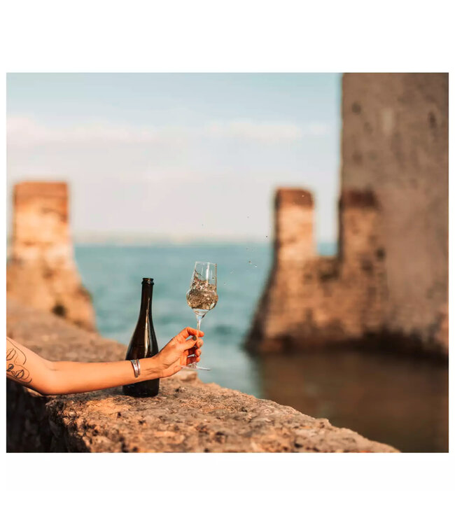 Champagneglas 34 cl kristalglas Ø77x(h)255 mm Cocoon - Stolzle | prijs & verp per 6 stuks