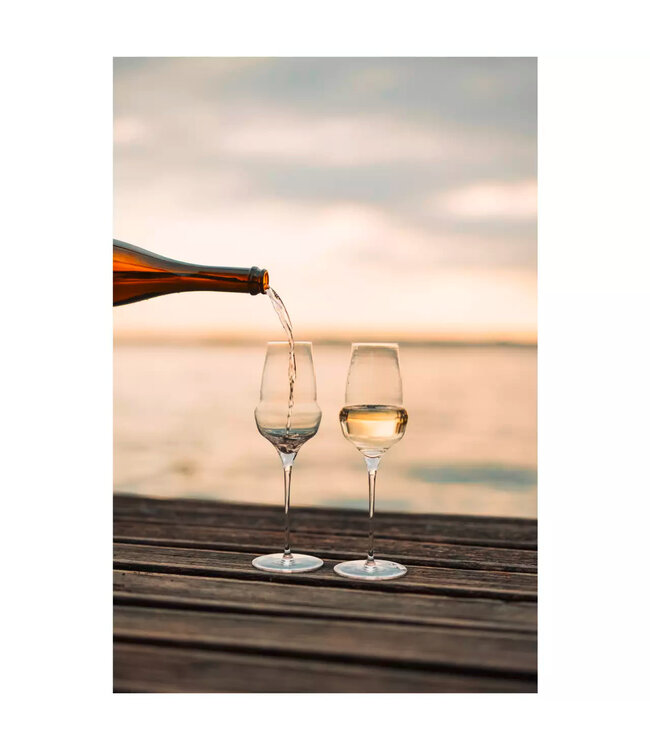 Champagneglas 34 cl kristalglas Ø77x(h)255 mm Cocoon - Stolzle | prijs & verp per 6 stuks