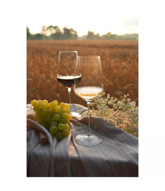 Stölzle Lausitz Wijnglas 48,5 cl kristalglas Ø88x(h)242 mm Cocoon - Stolzle | prijs & verp per 6 stuks