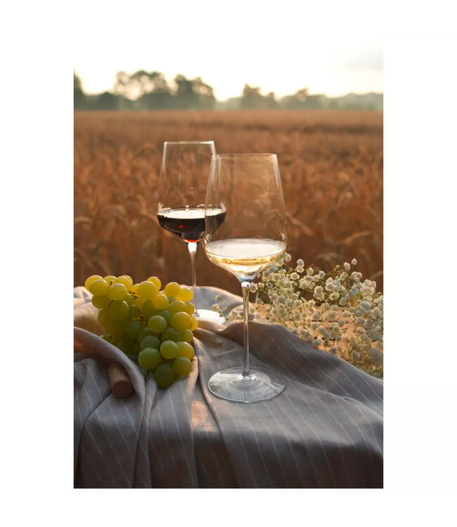 Wijnglas 48,5 cl kristalglas Ø88x(h)242 mm Cocoon - Stolzle | prijs & verp per 6 stuks