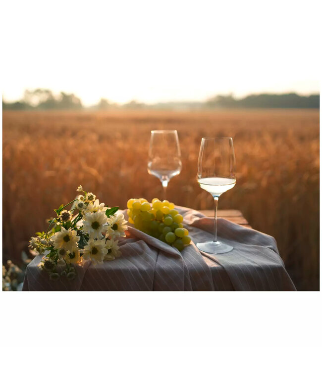 Wijnglas 48,5 cl kristalglas Ø88x(h)242 mm Cocoon - Stolzle | prijs & verp per 6 stuks