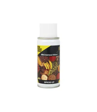 Luchtverfrisser 100 ml Aerosol spiced up | prijs & verp per 12 stuks