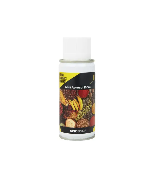 Luchtverfrisser 100 ml Aerosol spiced up | prijs & verp per 12 stuks