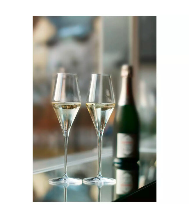 Champagneflute 29 cl kristalglas Ø83x(h)260 mm Quatrophil - Stolzle | prijs & verp per 6 stuks