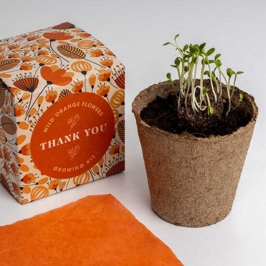 Voordeelcadeau: 'Thank you' growing kit  & Brownies