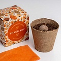 Voordeelcadeau: 'Thank you' growing kit  & Brownies