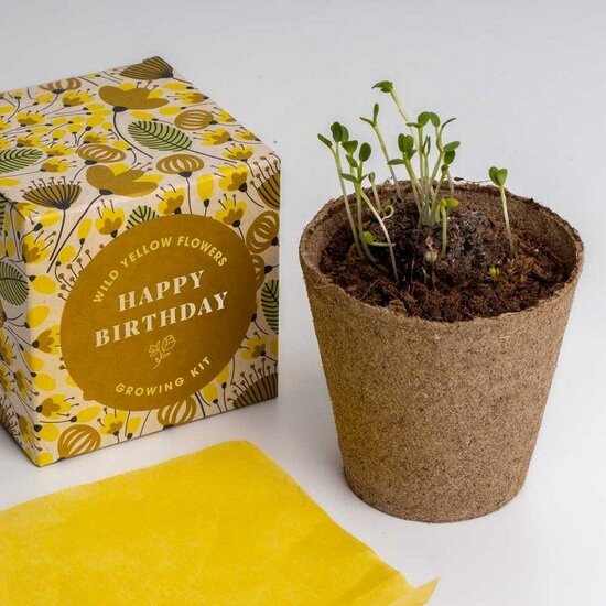 Voordeelcadeau: 'Happy Birthday' growing kit  & Brownies