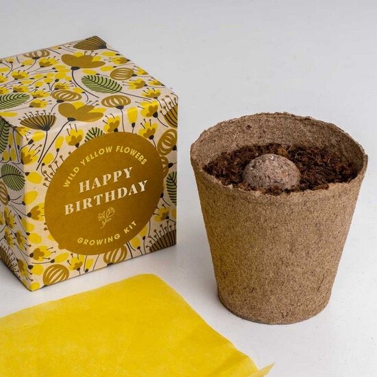 Voordeelcadeau: 'Happy Birthday' growing kit  & Brownies