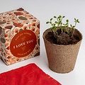 Voordeelcadeau: 'I Love You' growing kit  & Brownies