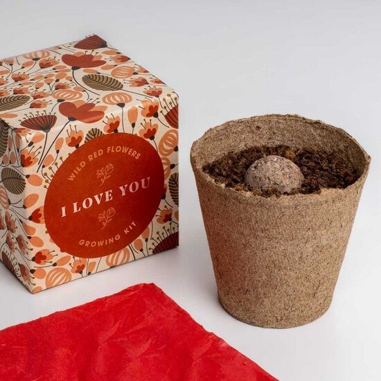 Voordeelcadeau: 'I Love You' growing kit  & Brownies