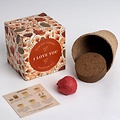 'I Love You' growing kit