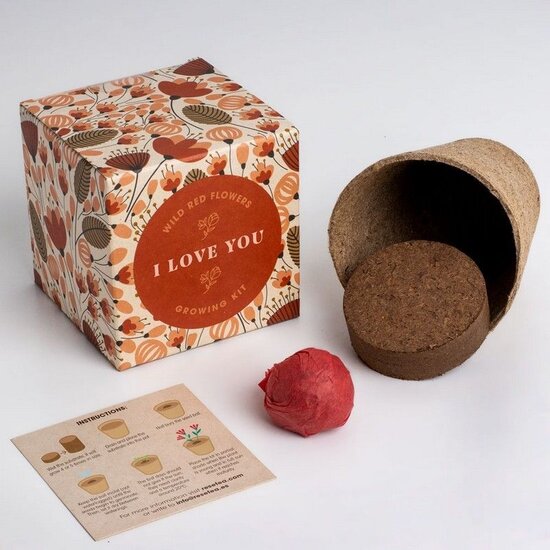'I Love You' growing kit