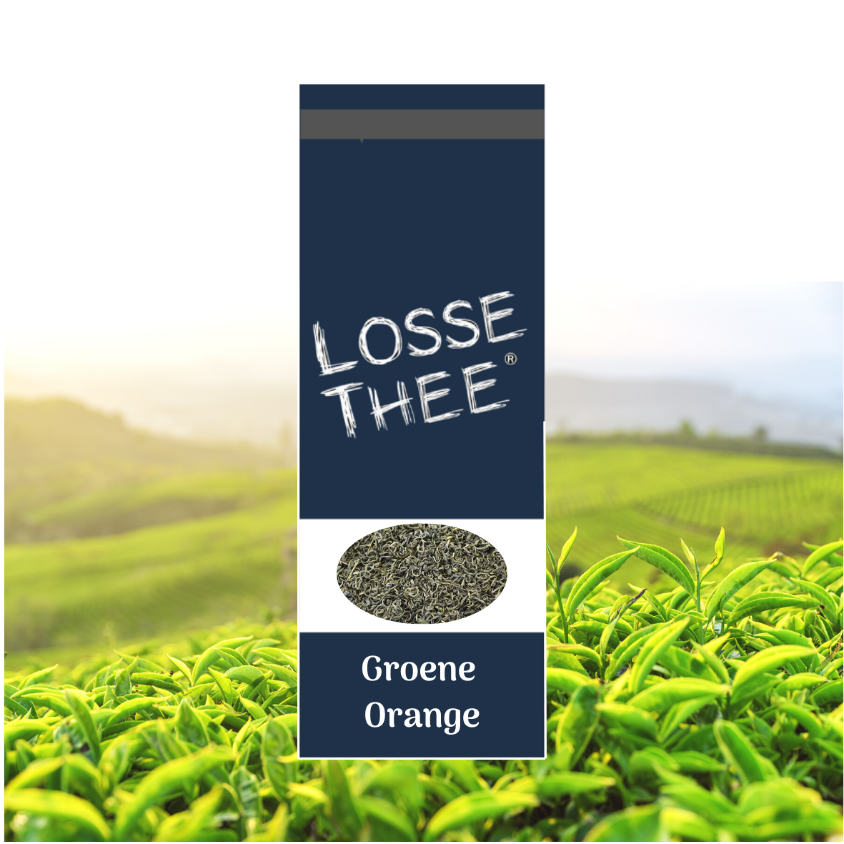 LOSSE THEE Groene Orange thee